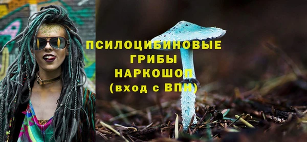 дживик Осташков